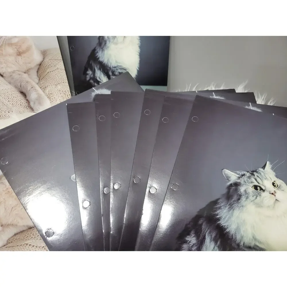 Lot 15‎ eclips usa Kitty Cat 2 Pocket Folders retro kitten school supply girl